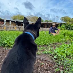 Carroll St Community Farm avatar